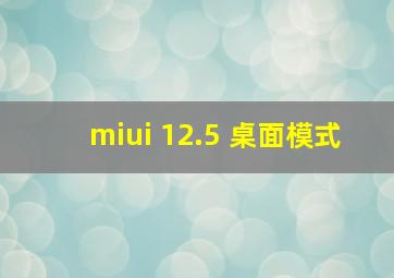 miui 12.5 桌面模式